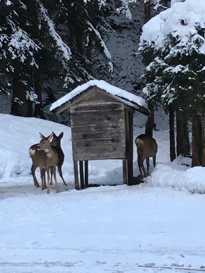 Ferienwohnung Bacher Oberkumbichl 900 Mayrhofen Exteriör bild